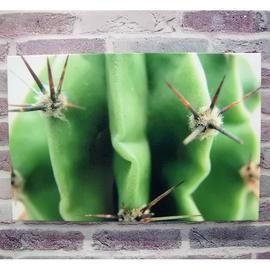 Tuinborden - Decoratiepaneel omgezette randen cactus sublimatie